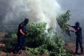 Albania: In Europe’s Wild East Cannabis is a Billion-Dollar Business