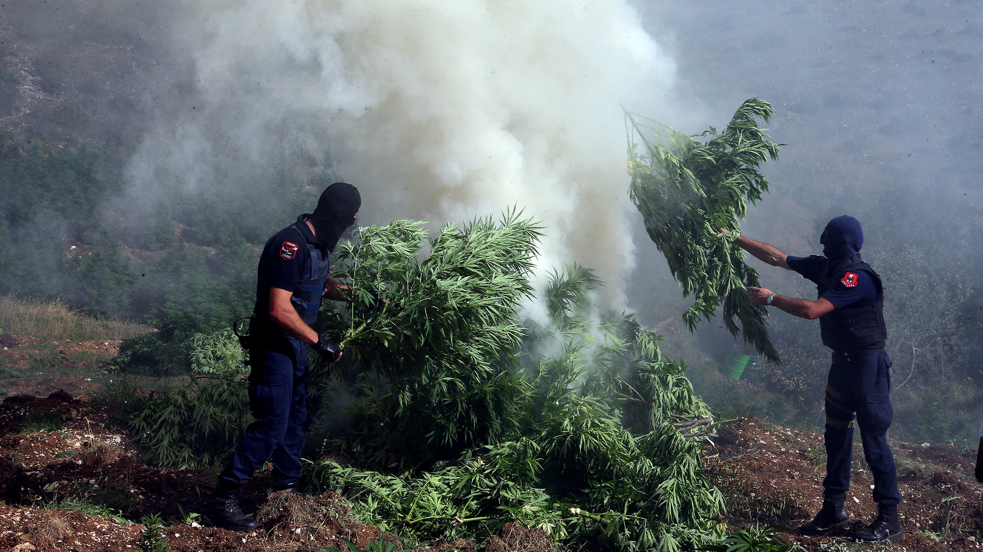 Albania: In Europe’s Wild East Cannabis is a Billion-Dollar Business