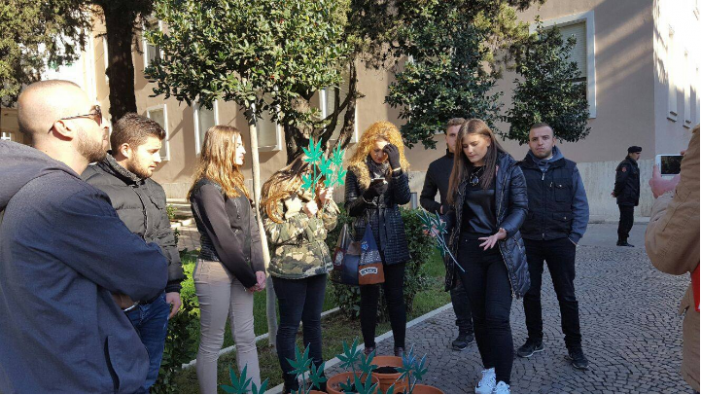 PD Youth Protests with Weed Plants in Front of Prime Ministry