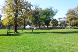Playground & More Kiosks Planned in Parku Rinia