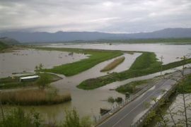 Heavy Rains Cause Flooding in Shkodra and Lezhe