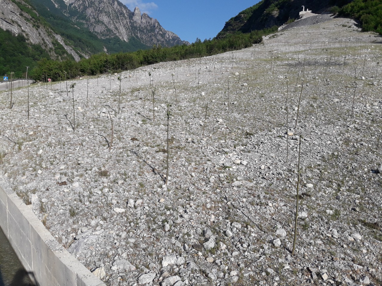 HPP Construction Company Claims to Restore Biodiversity to Valbona Valley