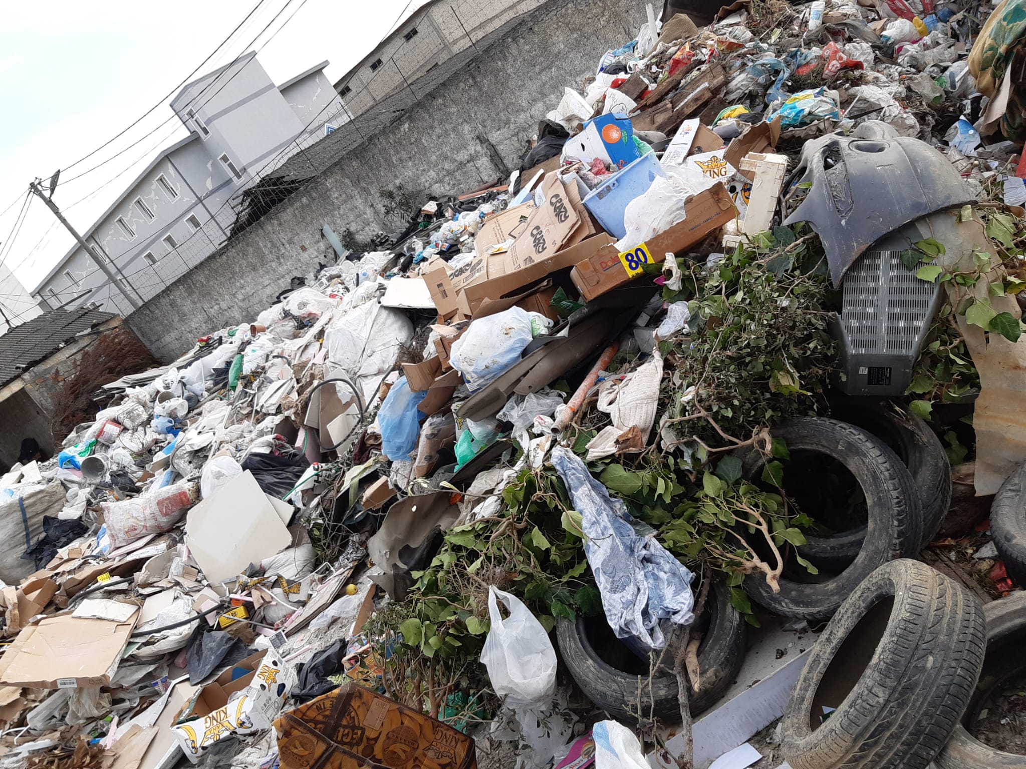 Durres Municipality Using NGO Stray Dog Centre to Dump Rubbish