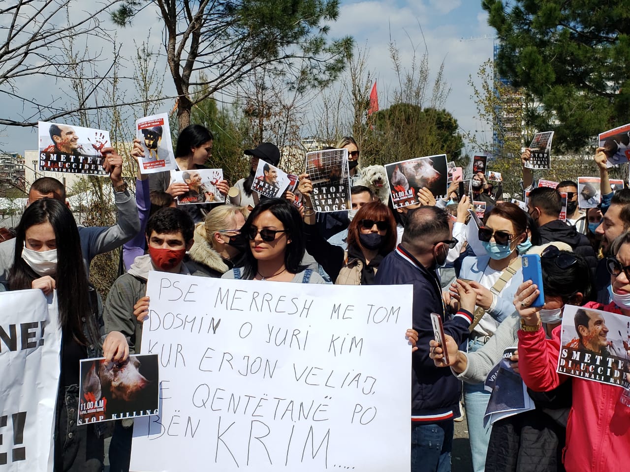 “Stop Killing Our Best Friends” Citizens Protest Against Poisoning of Stray Dogs by Tirana Municipality