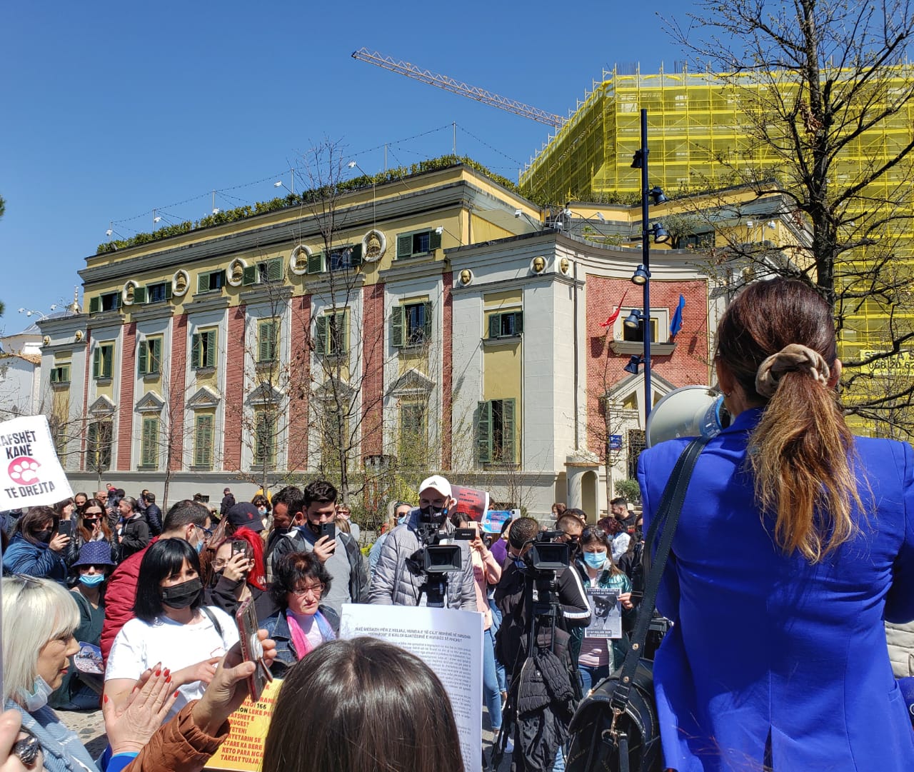 Animal Rights Activists Take Tirana Mayor to SPAK over Claims of Misuse of Funds and Killing of Street Dogs