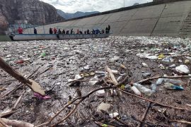 Activists Take Initiative to Clean Litter From Lake Koman