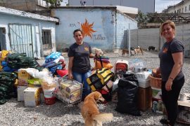 Animal Lovers of Albania: An Introduction and How You Can Get Involved