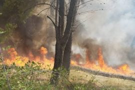 Strong Winds and Difficult Terrain Intensify Wildfires in North Albania