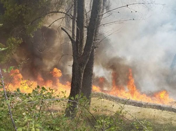 Fire Breaks Out in Countryside Just Outside of Saranda in Southern Albania