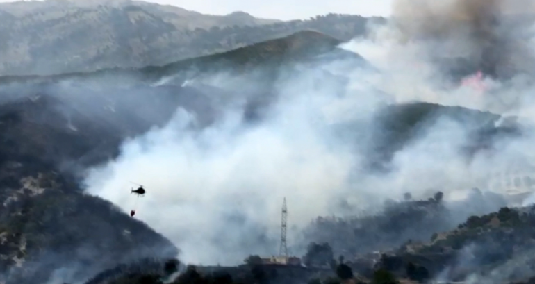 Albanian Authorities Continue to Battle Wildfires, Llogara Remains in Danger