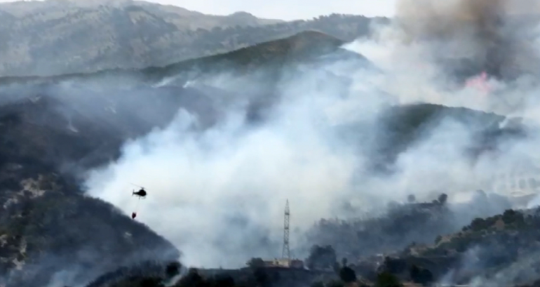 Fires Spread to Villages in Korce and Vlore, Llogara National Park Still at Risk