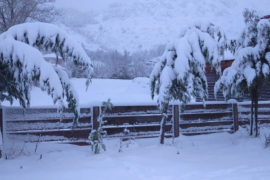 Albania Wakes Up to a Blanket of Snow