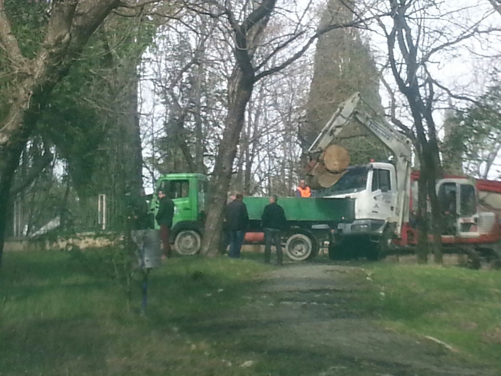 Kryebashkiaku Veliaj masakron pemët e parkut dhe mashtron publikun