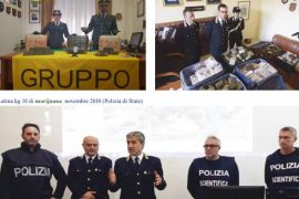 Antidroga italiane: Shqipëria, furnizuesja kryesore e Italisë me marijuanë – Pikat kryesore të raportit