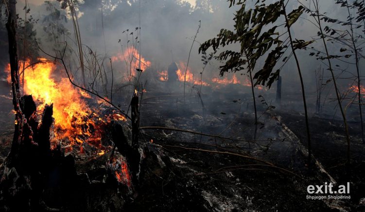 Si u manipulua G7 për zjarret në Amazonë