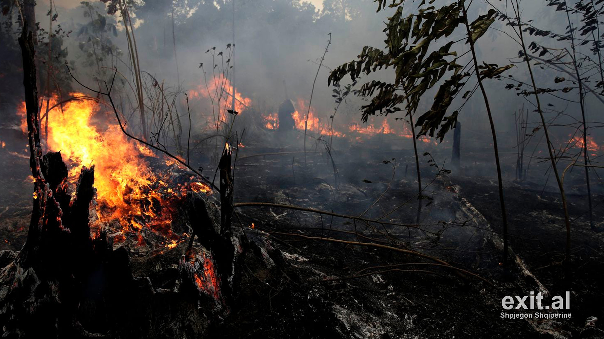 Si u manipulua G7 për zjarret në Amazonë