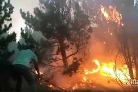 Djegiet e pyjeve në bregdet të qëllimshme, por ligji ndalon tjetërsimin e tokave të djegura