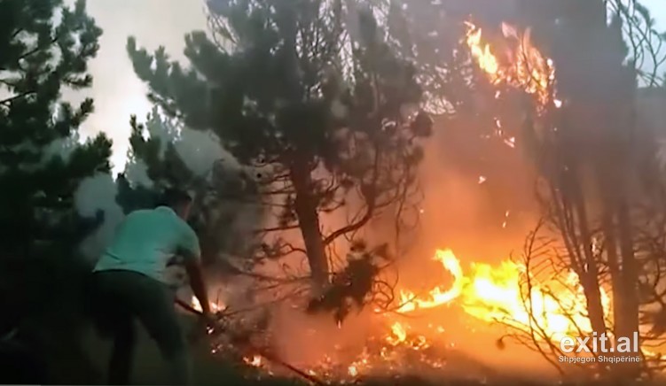 Zjarri ne Korab Koritnik Meta thirrje autoriteteve për të shuar zjarret në pyje