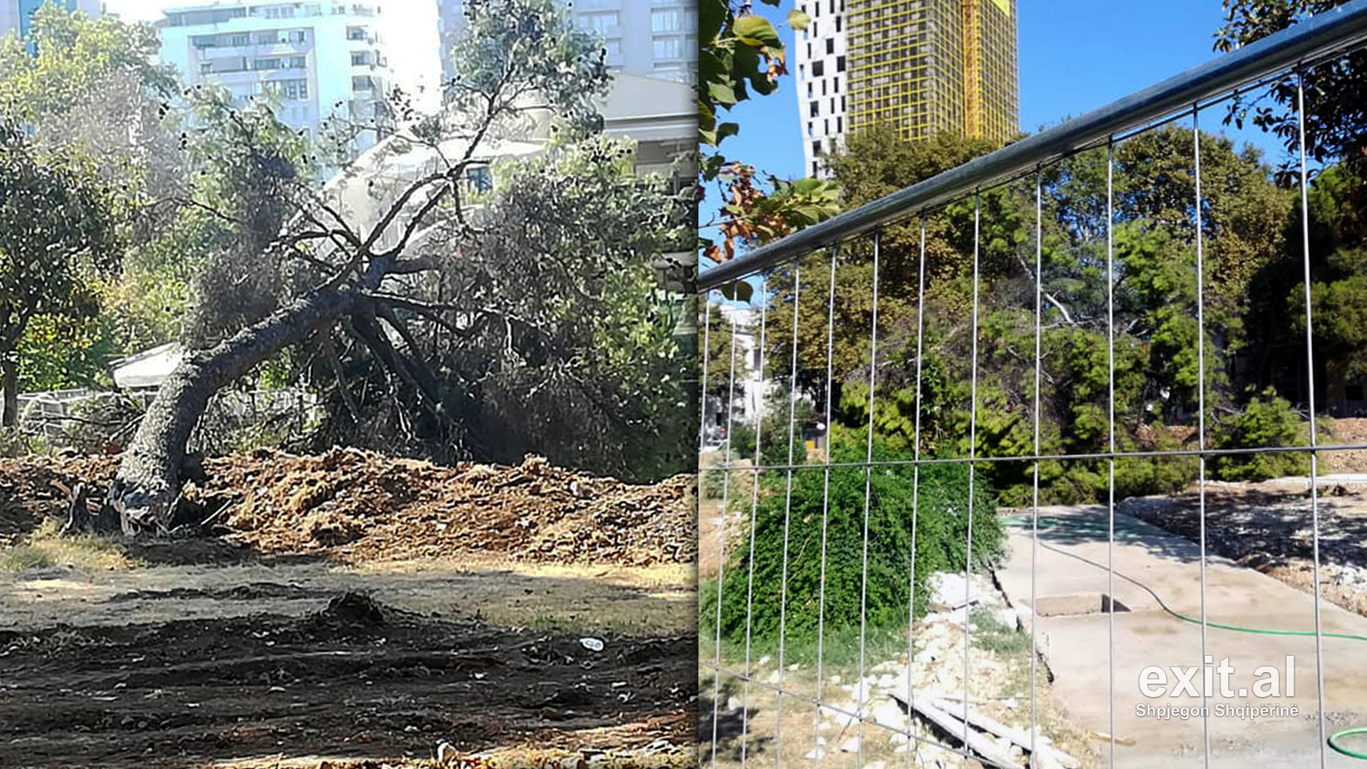Rehablitimi i Parkut Rinia vazhdon me shkulje pemësh