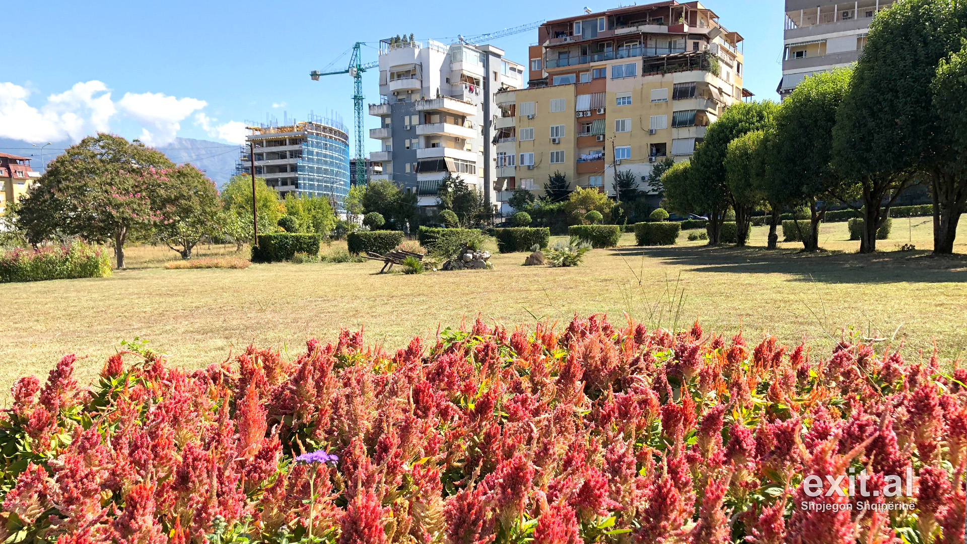 Kopshti Botanik mbetet në pronësi të Universitetit të Tiranës