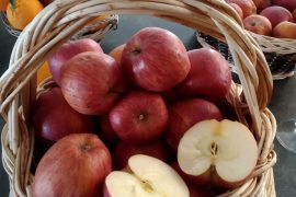 Petulla me mollë për një pasdite të këndshme me fëmijët