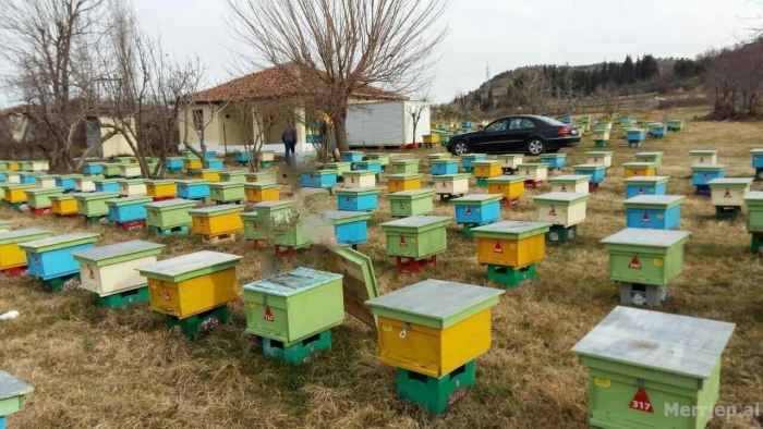 Koronavirusi parajsë për industrinë e prodhimit të mjaltit