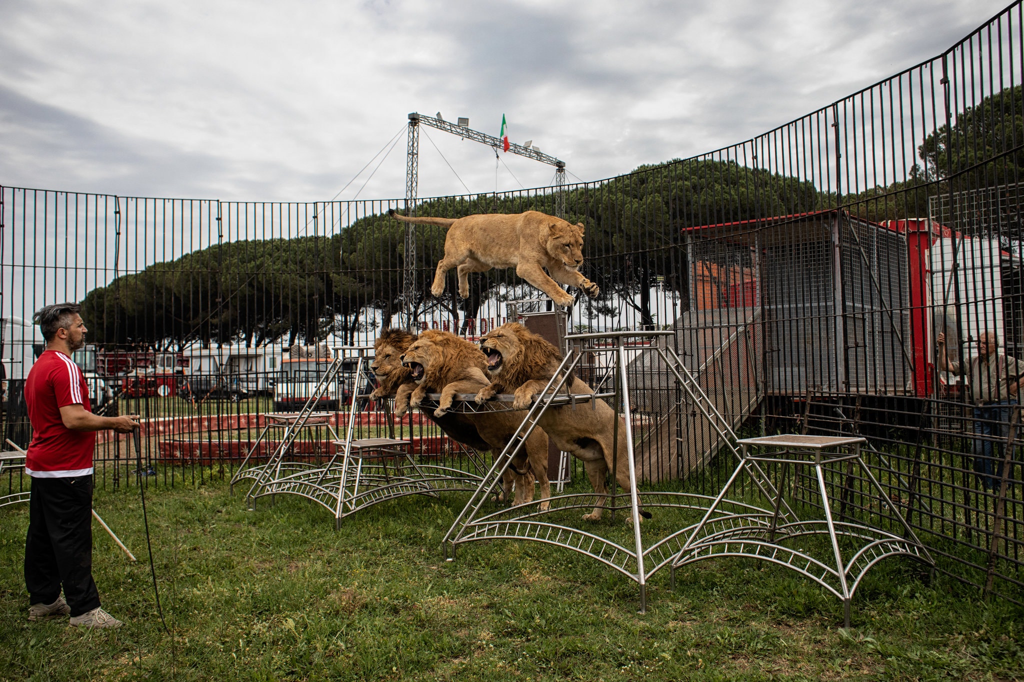 Rony Roller, cirku i famshëm që u bllokua në Itali nga koronavirusi