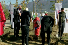 Rama mbjell pemë në Farkë në emër të Erdoganit