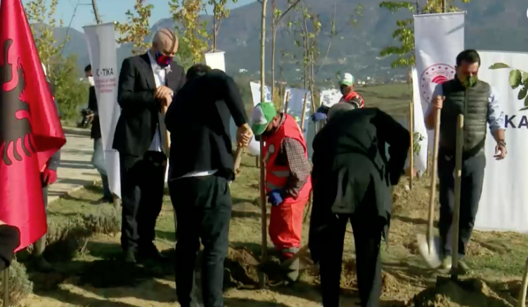 Screen Shot at AM Rama mbjell pemë në Farkë në emër të Erdoganit