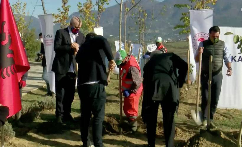 Rama mbjell pemë në Farkë në emër të Erdoganit