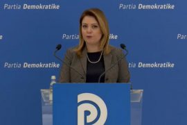 PD: Qeveria tender 3 milionë euro për kompaninë me ofertën më të lartë