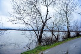 1370 hektarë tokë e përmbytur në Lezhë