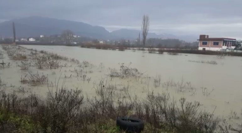 Përditësim i përmbytjeve, 900 hektarë të përmbytur në Lezhë