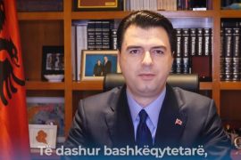 Basha: PD do të afrojë Shqipërinë me Bashkimin Europian