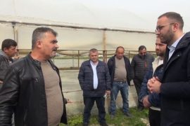 Bardhi takim me fermerët në Elbasan: Programi i PD-së parashikon subvencionim