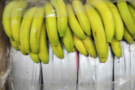 Droga në Durrës: Flet nga arratia pronari i kompanisë së bananeve