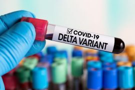 Vaksinat e miratuara nga EMA mbrojnë kundër variantit Delta