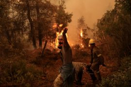 Kryeministri grek kërkon falje për mangësitë në luftën për fikjen e zjarreve