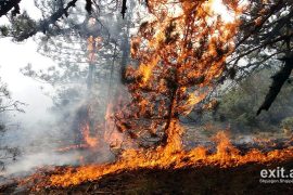 Zjarri në Karaburun rrezikon parkun e Llogarasë