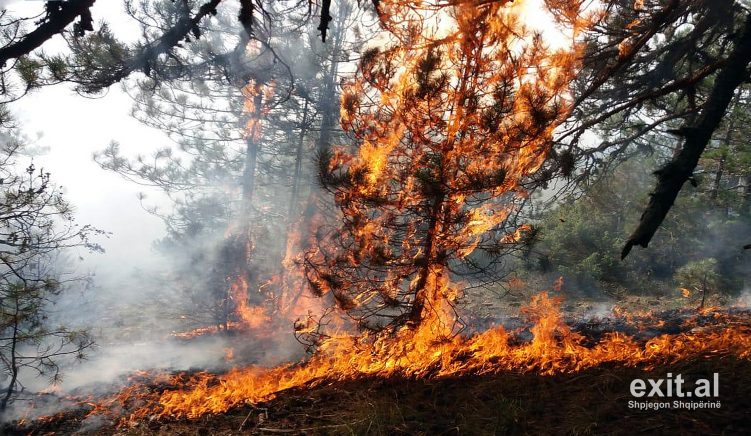 6 vatra aktive zjarresh në territorin e Shqipërisë