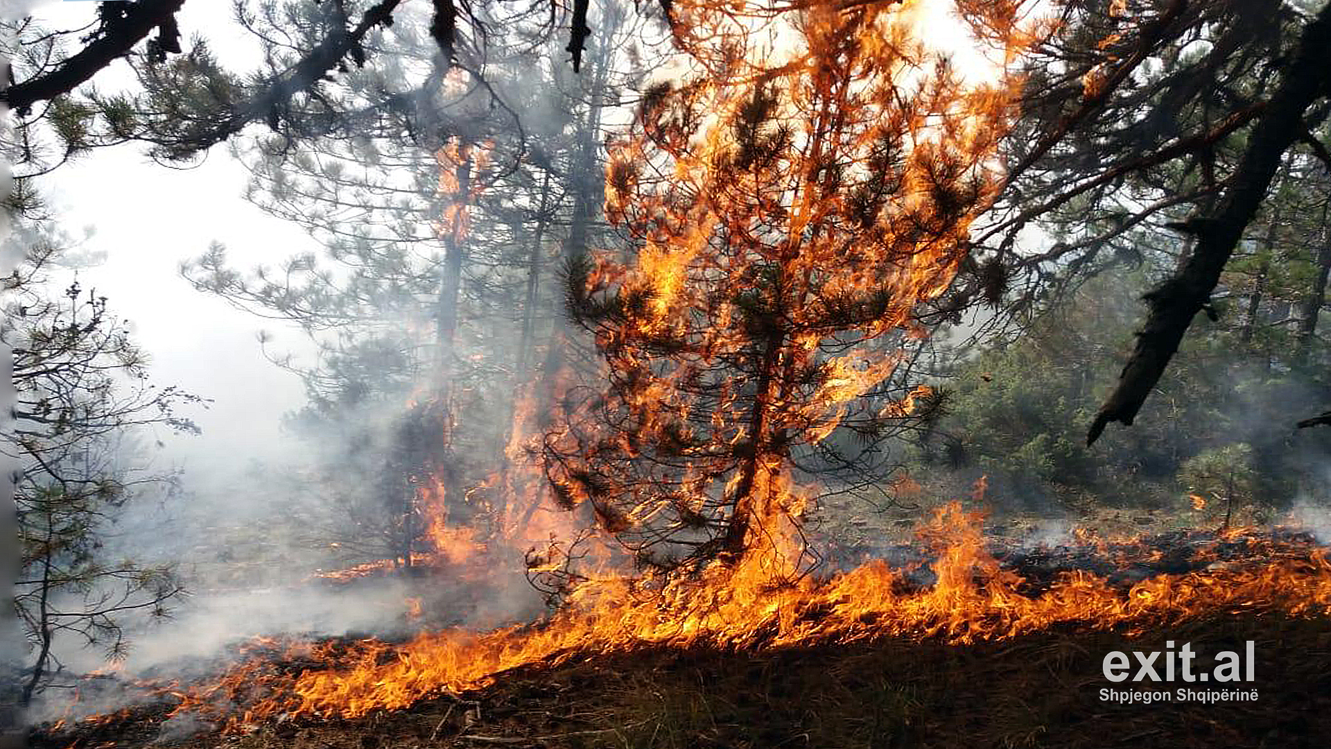 Zjarri në Karaburun rrezikon parkun e Llogarasë